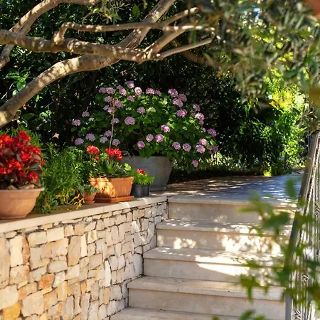 Lukrecia, For 9, Private Pool, Free Parking, 450 M From The Villa